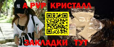 МДПВ Новодвинск