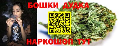 спиды Новозыбков