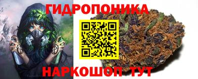 МДПВ Новодвинск