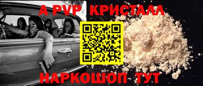 спиды Новозыбков