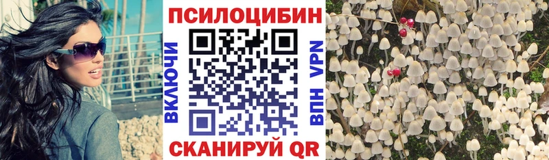 Псилоцибиновые грибы Cubensis  Сургут 