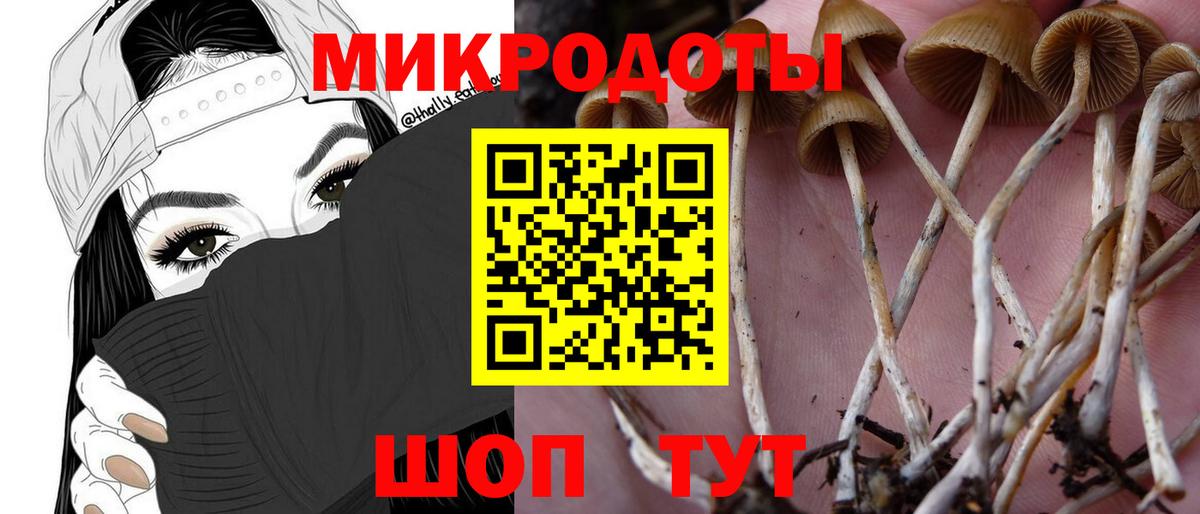 Сургут  Псилоцибиновые грибы Psilocybine cubensis  Вход с VPN 