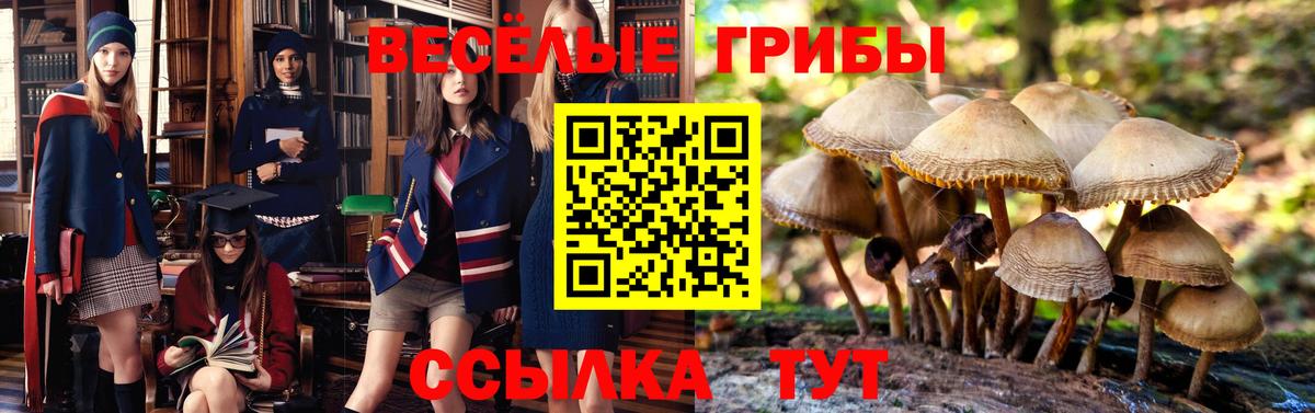 Галлюциногенные грибы мухоморы Сургут
