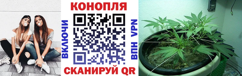 Марихуана индика  Сургут 